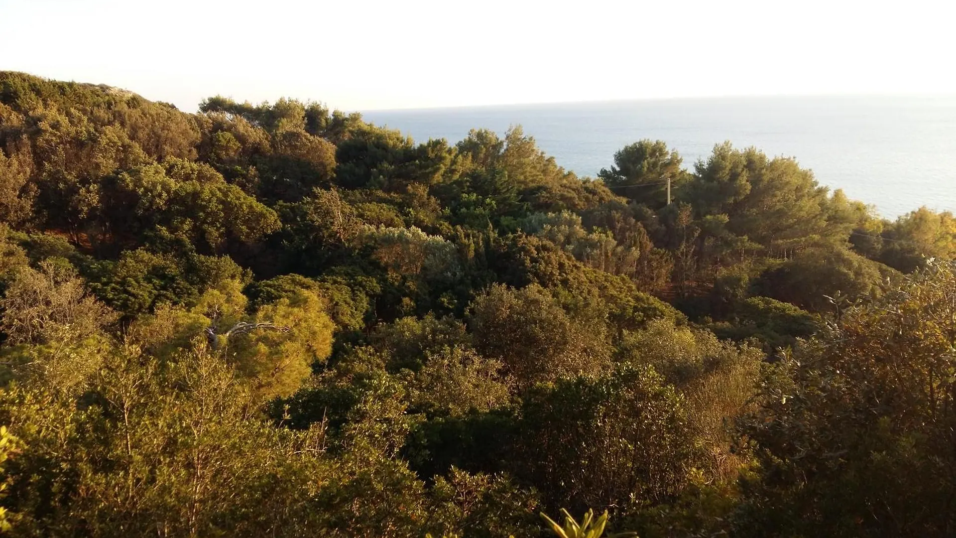 Terrazza Sul Mare Villa Alghero Semesterbostad